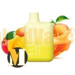 پاد یکبار مصرف انبه هلو الف بار <br><span>ELFBAR Mango Peach BC5000</span>